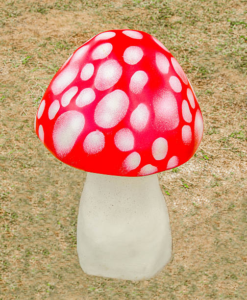 Mushroom decoration figure on ground stock photo