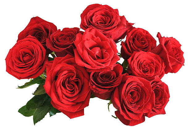 上の赤いバラのブーケの絶縁 - バラ ストックフォトと画像