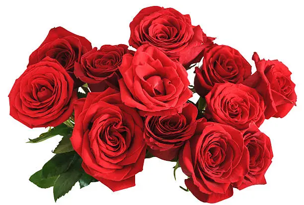 Photo of above view bouquet of red roses isolated