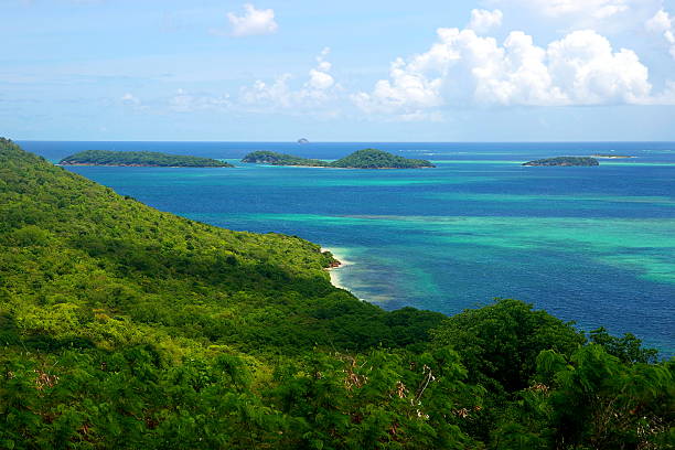 The Grenadines Islands Caribbean Island Chain Tobago Cays Saint Vincent The Grenadines Islands Caribbean Island Chain Tobago Cays Windward Islands Saint Vincent tobago cays stock pictures, royalty-free photos & images