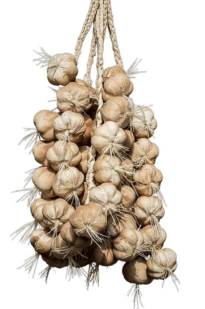 racimo de ajo - garlic hanging string vegetable fotografías e imágenes de stock