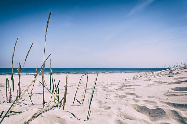 istock Grass sand dune beach sea view, Baltic Sea 476831174