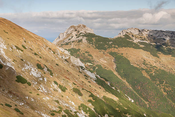 blick vom kondracka kopa zu giewont-tatras berge. - poland mountain tatra mountains giewont stock-fotos und bilder