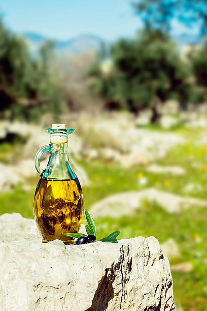 Olive oil with olives in natural environment stock photo