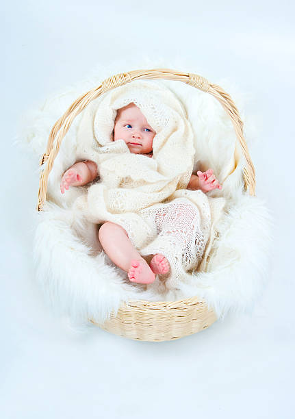 istock The kid in a basket 476835212