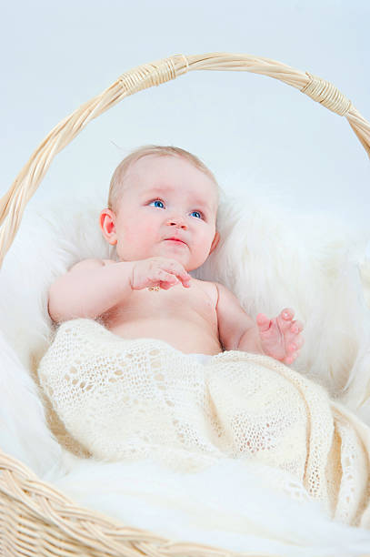 istock The kid in a basket 476836542