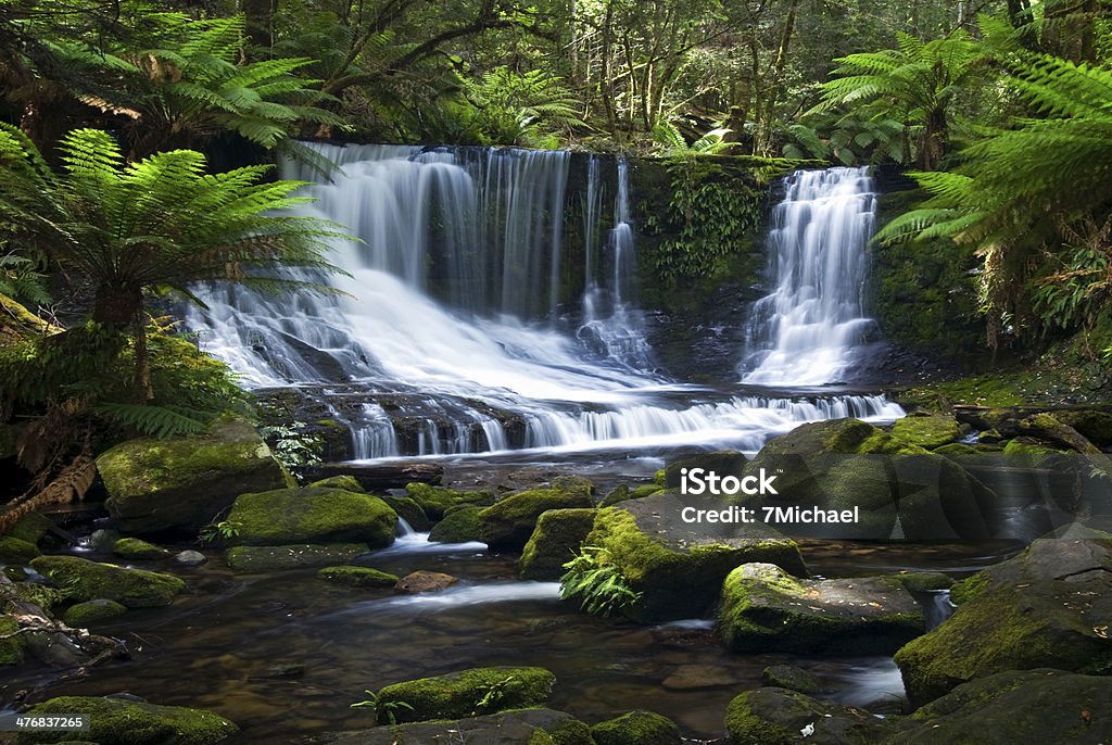 Horseshoe Falls, park Narodowy Mount Field, Tasmania, Australia - Zbiór zdjęć royalty-free (Tasmania)