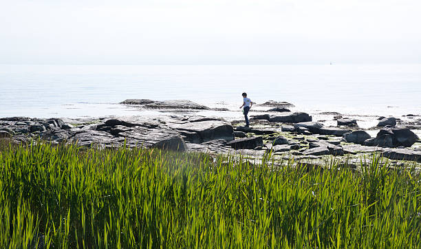 chłopiec crabfishing netto - sweden fishing child little boys zdjęcia i obrazy z banku zdjęć