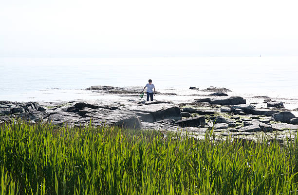 boy crabfishing con net - sweden fishing child little boys fotografías e imágenes de stock