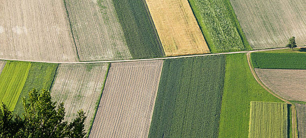 recém lavrado sowed agricultura e terra a partir de cima - homegrown produce wheat organic crop imagens e fotografias de stock