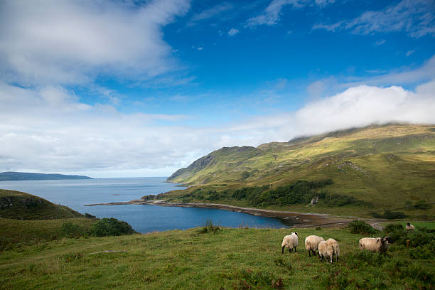 istock The Bay of Pledges 476840302