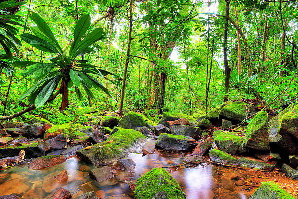 Tropical landscape of Martinique with Le Piton du Carbet and Mt Pelée