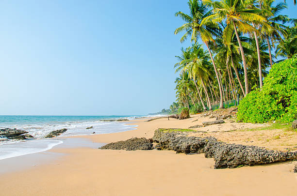 istock Paradise sandy beach palm trees, Sri Lanka, Asia 476846240
