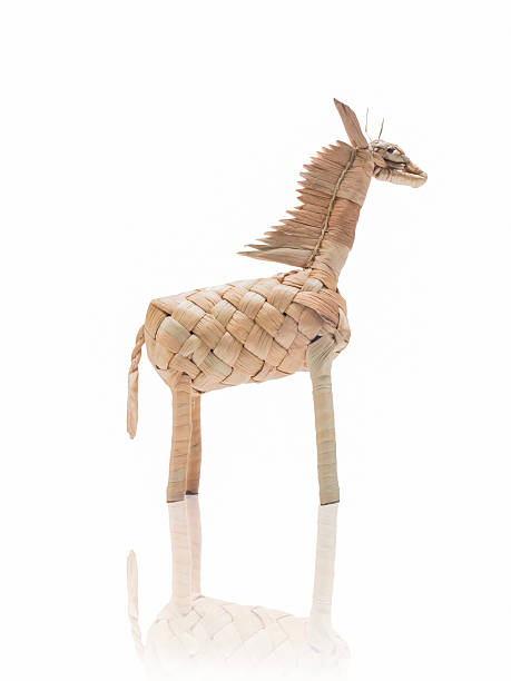 istock Water hyacinth horse weaved 476846831