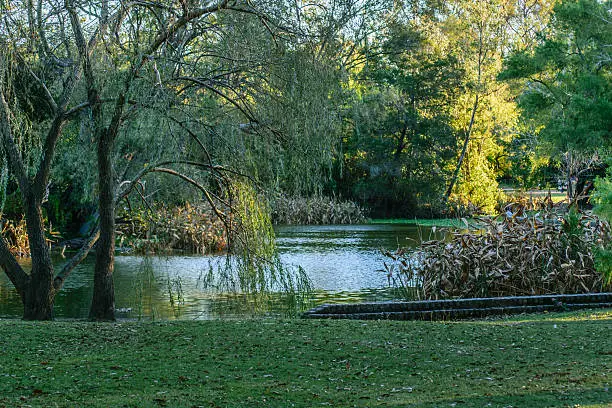 Beautiful and peaceful nature scene in a sunny day at park in Montevideo, Uruguay.