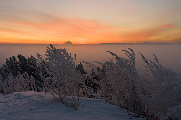 Wschód słońca nad fog – zdjęcie