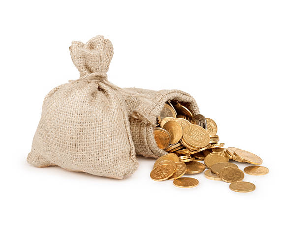 istock bags with coins isolated on white background 476856968