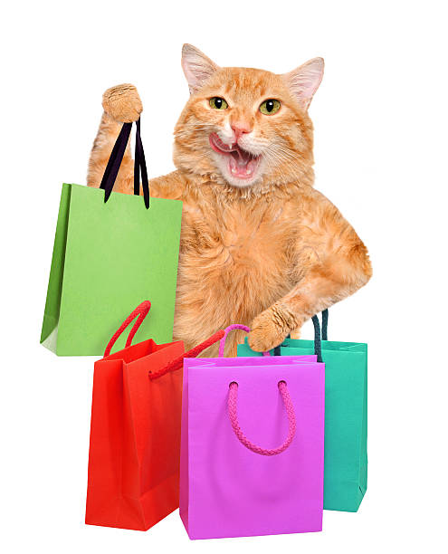 猫、ショッピングバッグ。 - domestic cat bag shopping gift ストックフォトと画像
