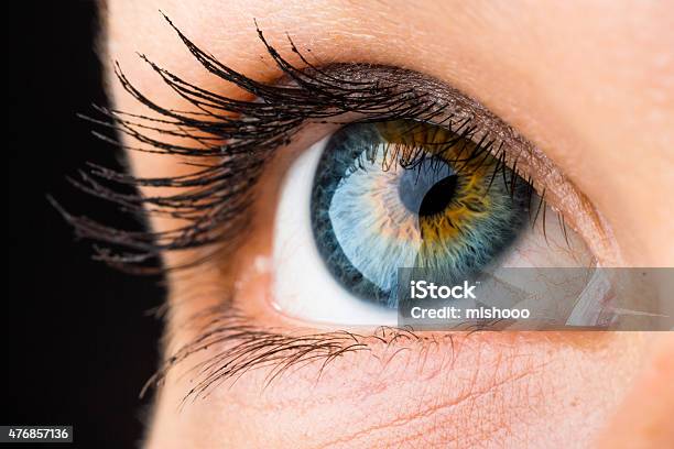 Beautiful Eye Macro Stock Photo - Download Image Now - Eye, Macrophotography, Iris - Eye