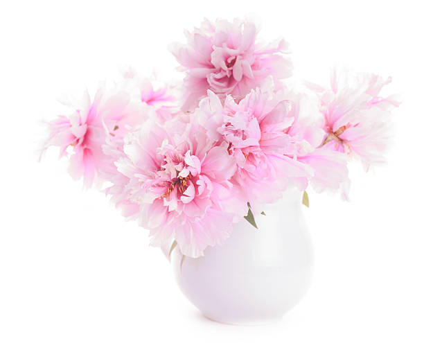 istock Pink peonies in vase 476858182