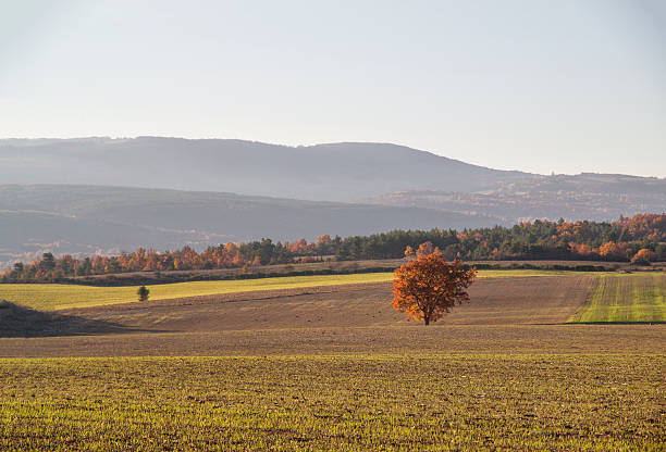 istock Autumn colours in a rural valley 476858488
