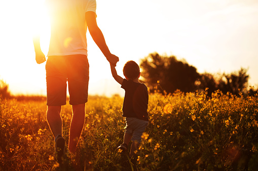 Photo of little boy holding his father hand and walking at the field in the sunset