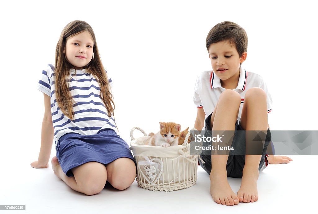 children with kittens children with kittens on white background 2015 Stock Photo