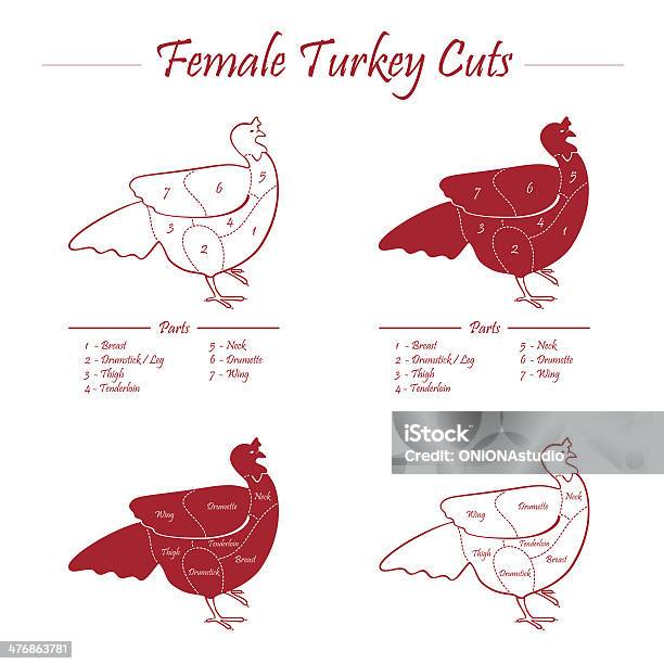 Turkey Meat Cuts Diagram Feamale Stock Illustration Download Image
