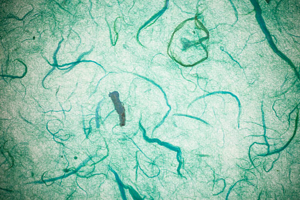 istock Green mulberry paper. 476866120