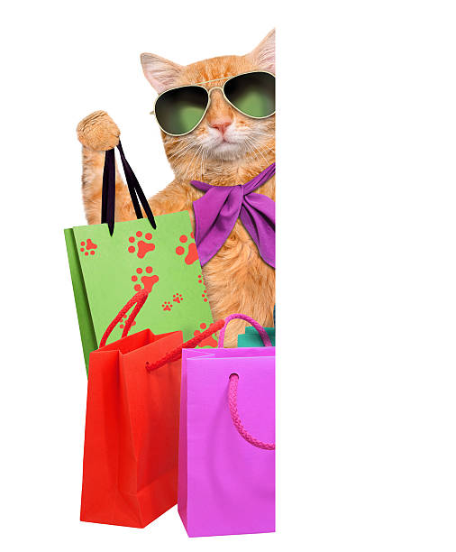 gatto con le borse degli acquisti. - domestic cat bag shopping gift foto e immagini stock