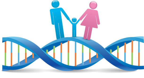 днк человека - genetic research stock illustrations