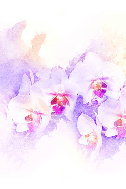 istock Flower watercolor illustration. 476867814