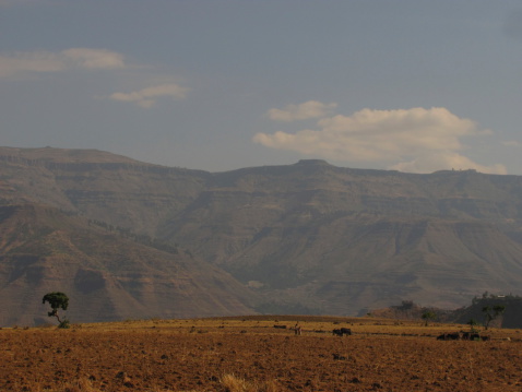 This picture was taken in North Ethiopia near Lalibela in January 2011.