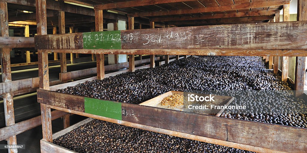 Nutmeg Factory In Gouyave Grenada Nutmeg drying on wooden shelves in a traditional processing factory in Gouyave, Grenada - the Island of Spice in the Caribbean Grenada Stock Photo