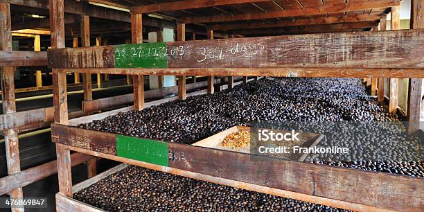 Nutmeg Factory In Gouyave Grenada Stock Photo - Download Image Now - Grenada, Caribbean Culture, Nutmeg