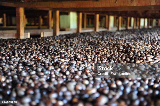 Nutmeg Factory In Gouyave Grenada Stock Photo - Download Image Now - Agriculture, Caribbean Culture, Cooking