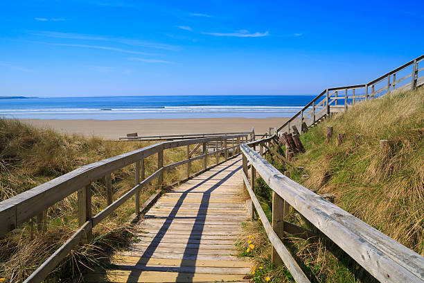 istock Wooden path to the beach 476871416