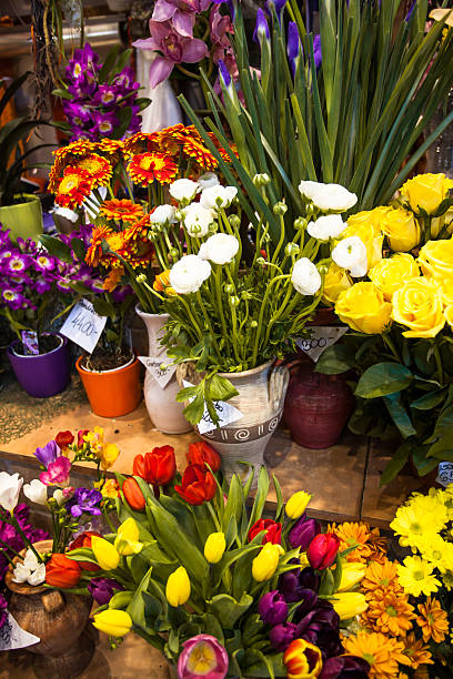 istock flower market 476882898