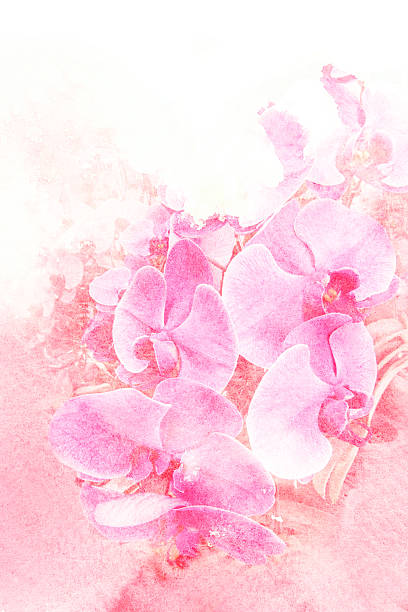 istock Flower watercolor illustration. 476883594