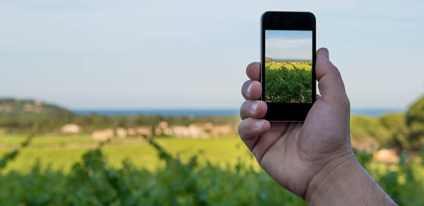 istock Smartphone taking picture of vineyard 476886242