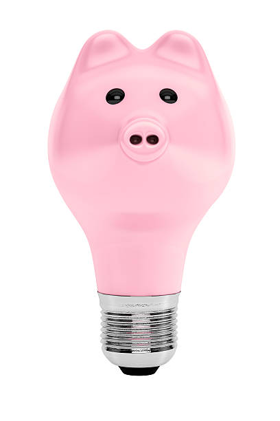 istock Piggy Bank as Light Bulb 476886448