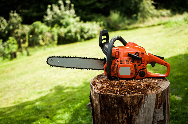 Chainsaw Chainsaw on the wooden stomp chainsaw photos stock pictures, royalty-free photos & images