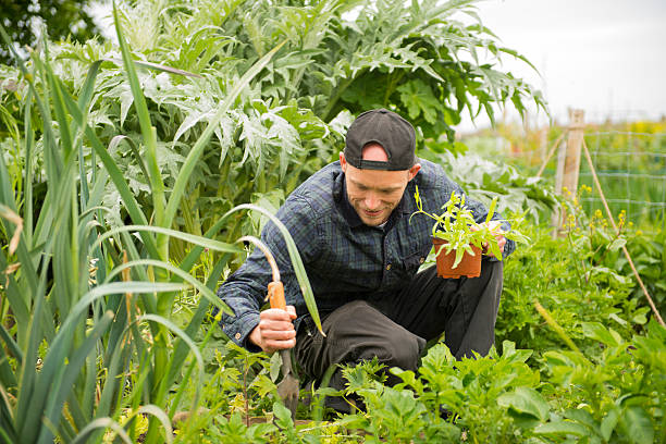 istock Gardener tending to his plants 476889672