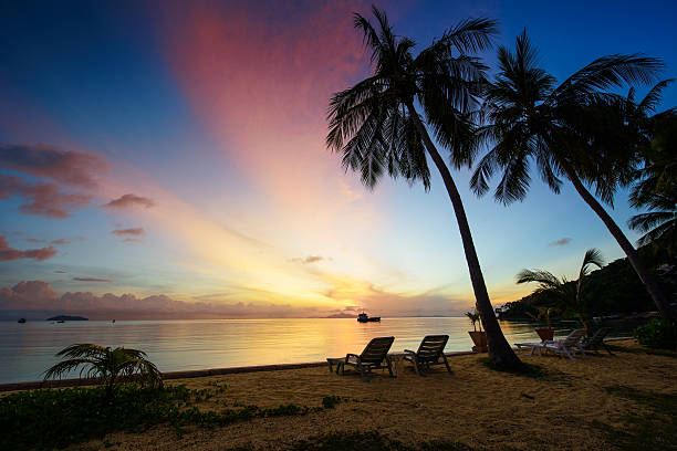 istock Beautiful sunrise at Beach with palms 476891009