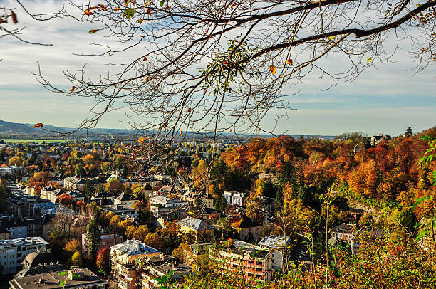 istock Salzburg city view from tree top 476895499