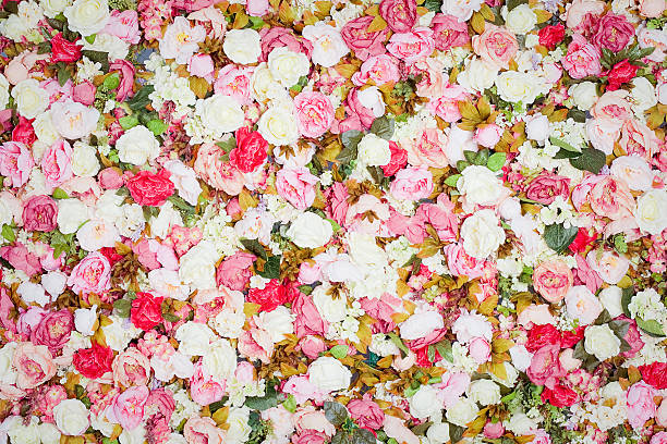 istock Pattern of fresh colorful roses 476895594
