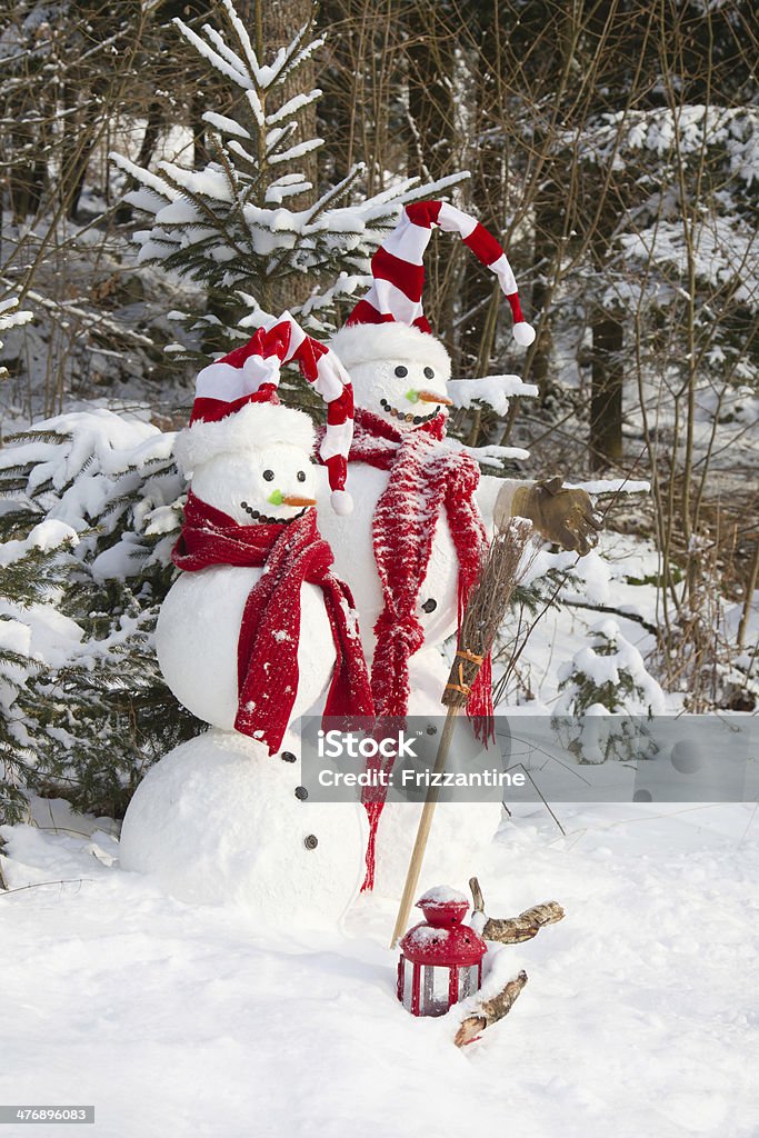 Cặp Đôi Người Tuyết Trong Tình Yêu Trang Trí Ngoài Trời Giáng Sinh Với Tuyết  Hình Ảnh Sẵn Có - Tải Xuống Hình Ảnh Ngay Bây Giờ - Istock