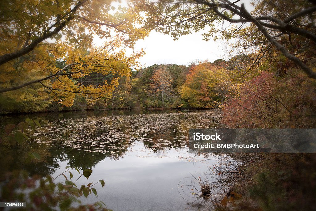 Autumn on the Pond A pond in the middle of autumn, Chatham, MA. Change Stock Photo