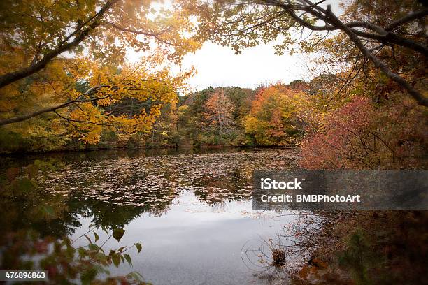 Autumn On The Pond Stock Photo - Download Image Now - Change, Leaf, Pond