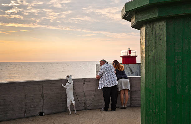 coppia e il loro cane ammirare il tramonto - marina di pisa foto e immagini stock